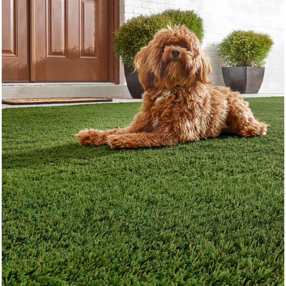 Trafficmaster Pet 6 Ft X 7 5 Artificial Gr Turf Stem Trafficmaster Pet 6 Ft X 7 5 Artificial Gr Turf Stem