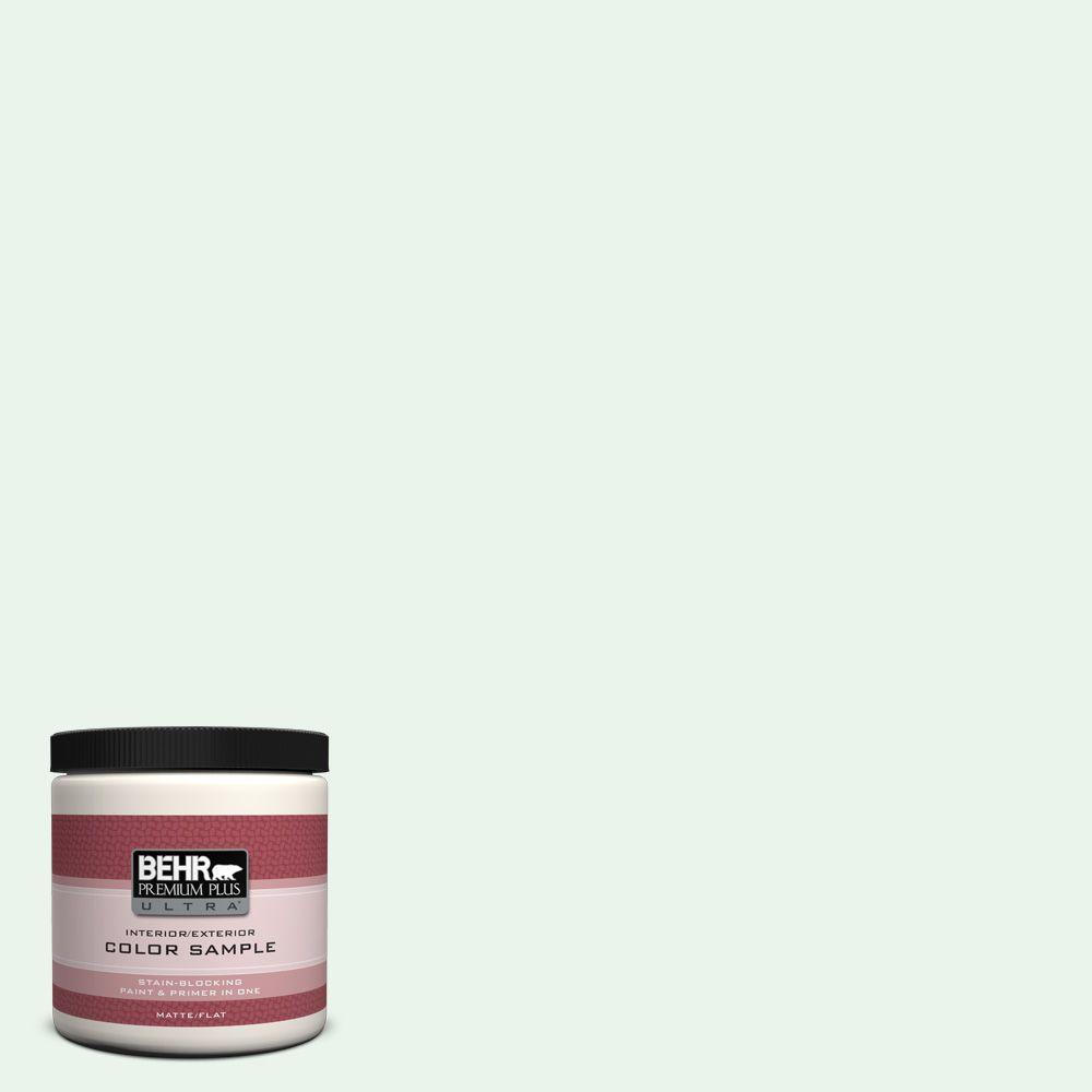 BEHR Premium Plus Ultra 8 Oz. #460A-1 Bubble Interior/Exterior Paint ...