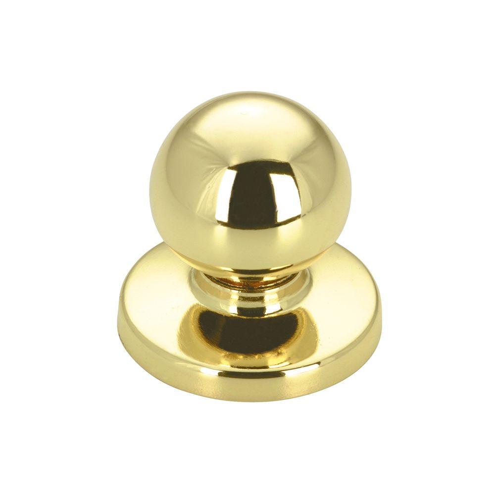 Richelieu Hardware Contemporary And Modern 1 14 In Brass Cabinet Knob Bp3922130 The Home Depot 0891