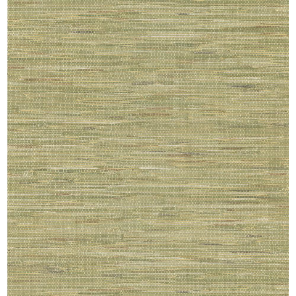 National Geographic Faux Grasscloth Wallpaper 405 45125 The Home Depot   National Geographic   405 45125 64 1000 