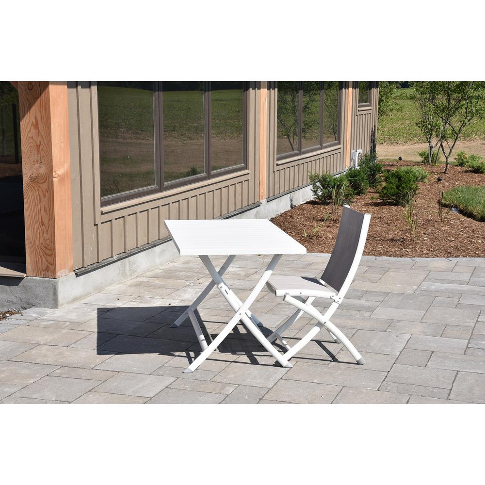 Noble House Hudson White Foldable Wood Outdoor Dining Chair (2Pack