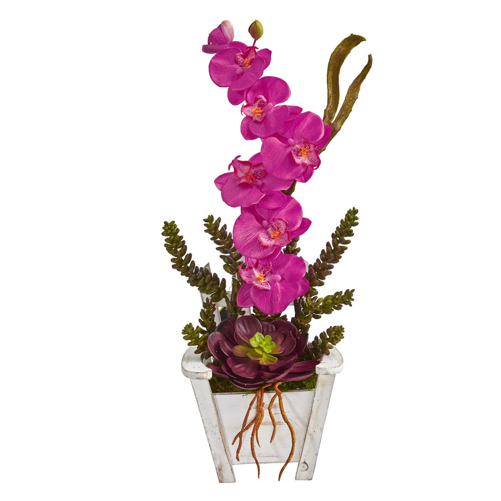 Nearly Natural Indoor Phalaenopsis Orchid And Succulent Artificial Nearly Natural Indoor Phalaenopsis Orchid And Succulent Artificial Arrangement In Chair Planter 1584 Dp The Home Depot