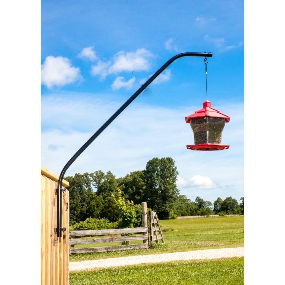 bird feeder pole