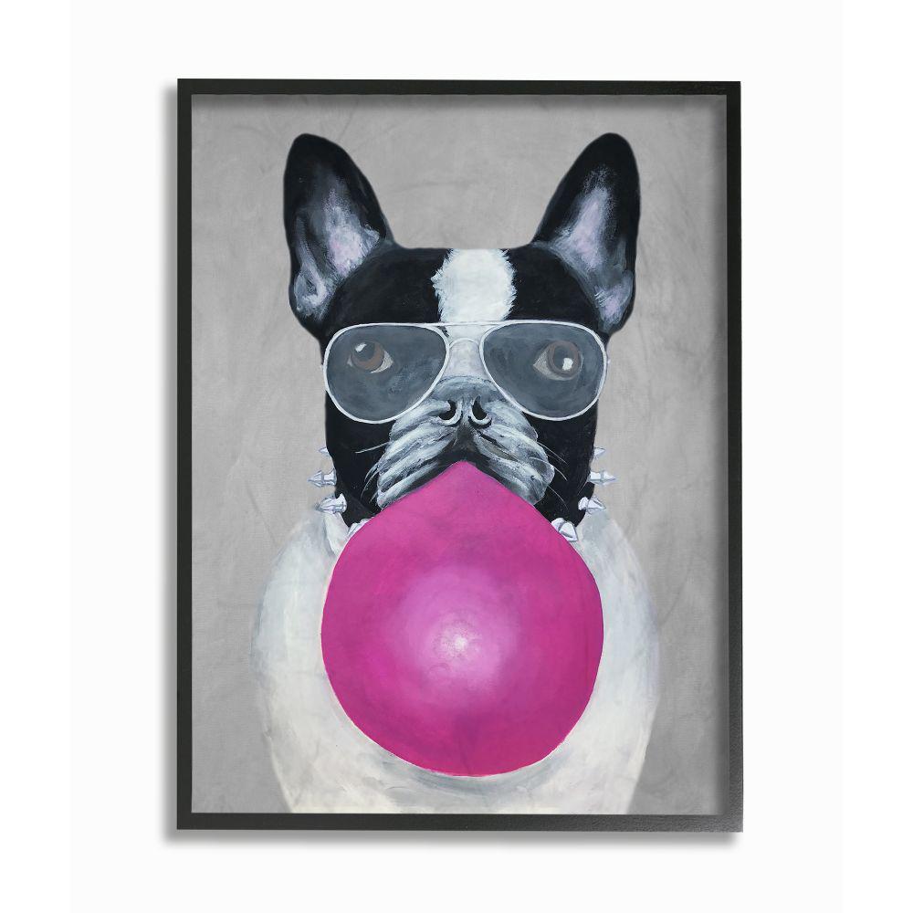 The Stupell Home Decor Collection 11 In X 14 In French Bulldog With Bubblegum And Glasses By Coco De Paris Framed Wall Art Cdp 109 Fr 11x14 The Home Depot