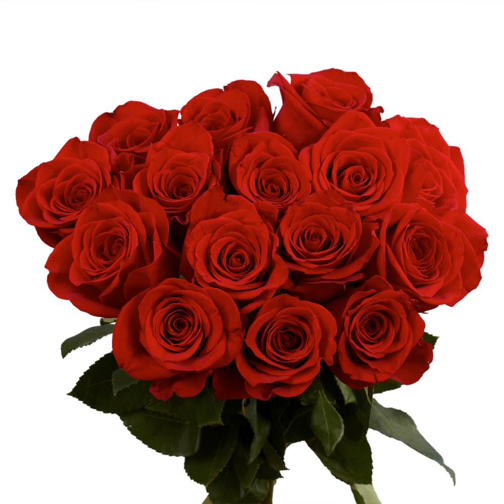 Globalrose Fresh Red Roses (400 Stems)-special-rose-globalrose - The ...