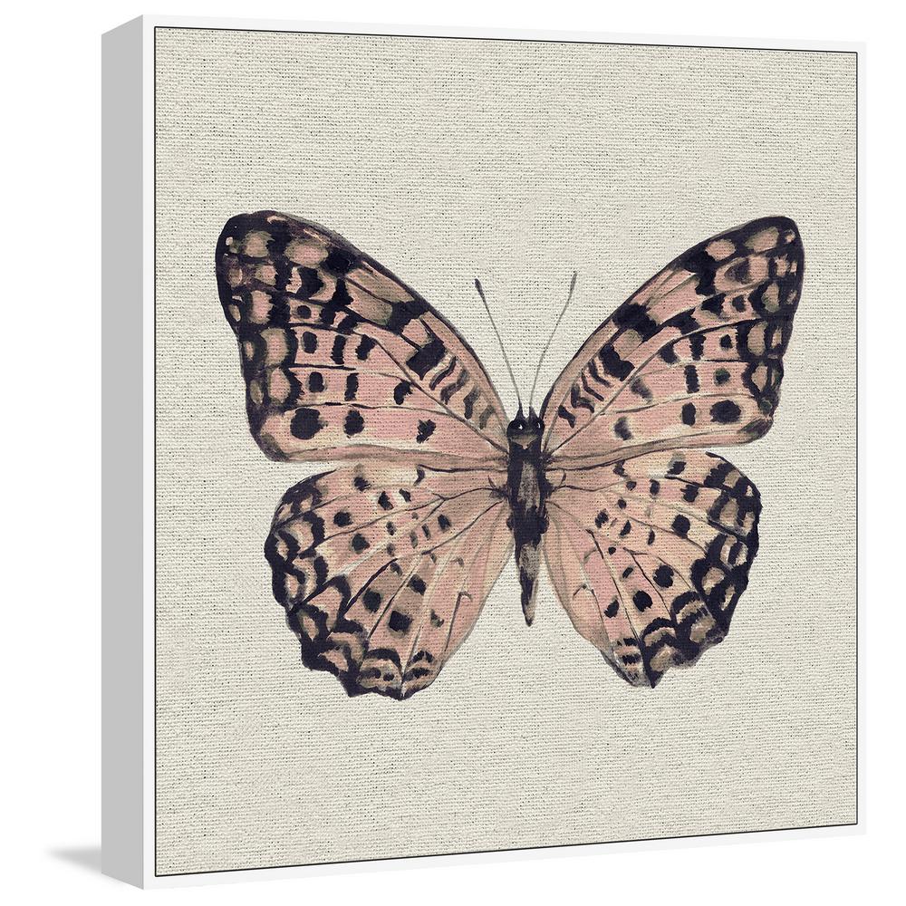 butterfly ii