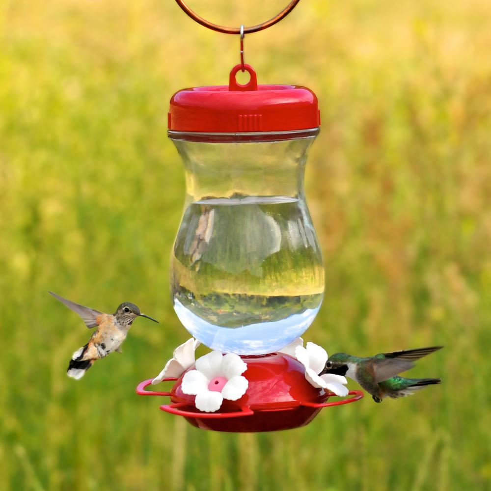 Perky Pet Top Fill Glass Hummingbird Feeder 24 Oz Capacity