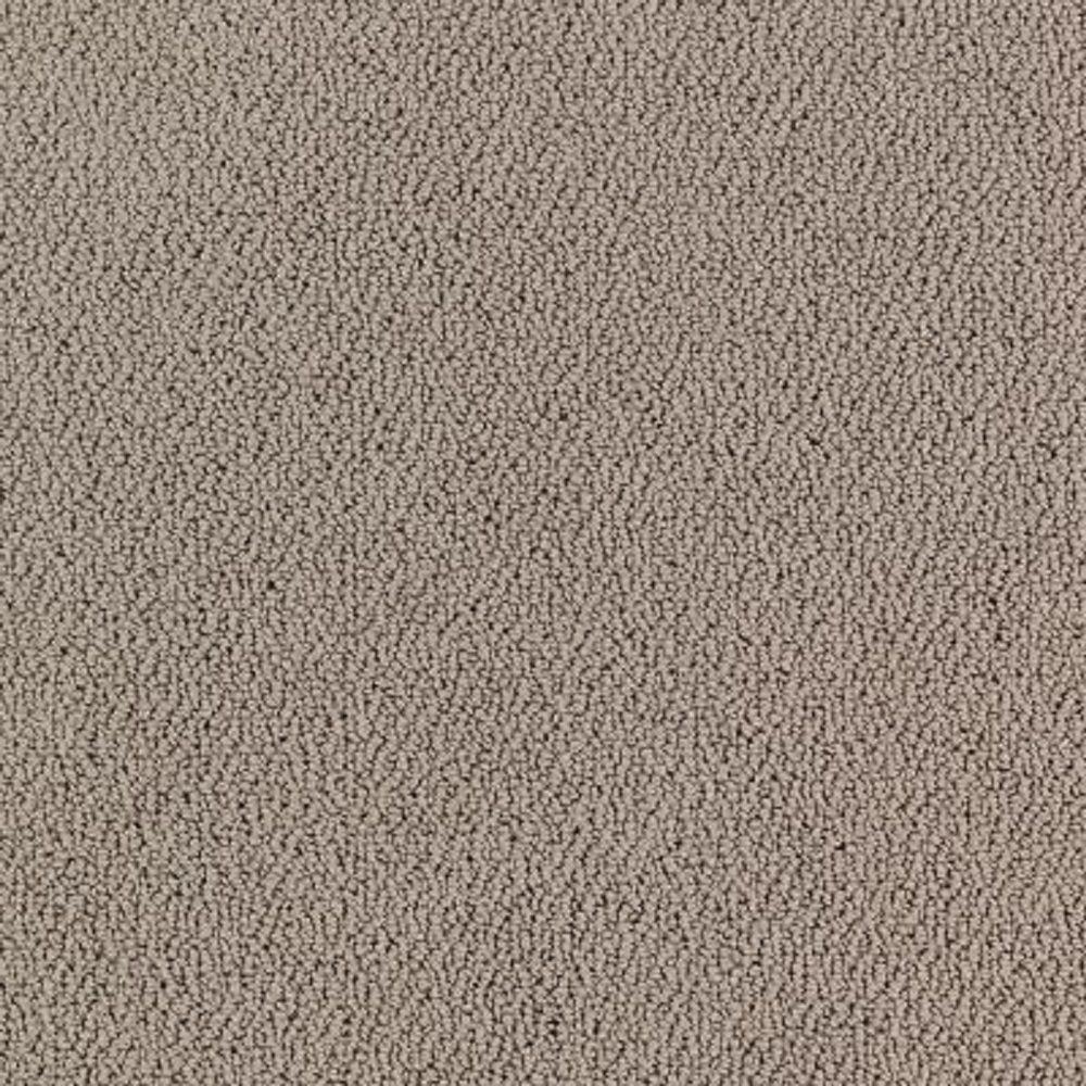 LifeProof Carpet Sample Lower Treasure Color Pewter Loop 8 in. x 8