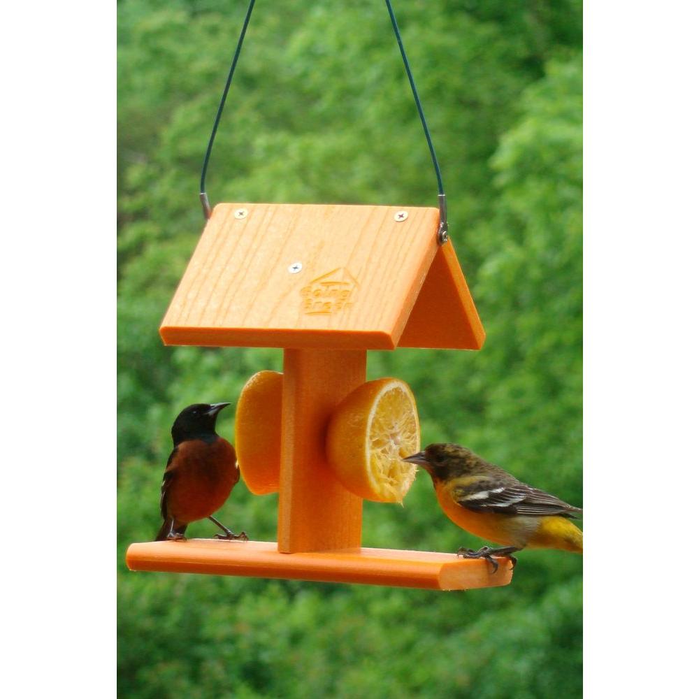Woodlink Going Green Oriole Bird Feeder Ggo2 The Home Depot