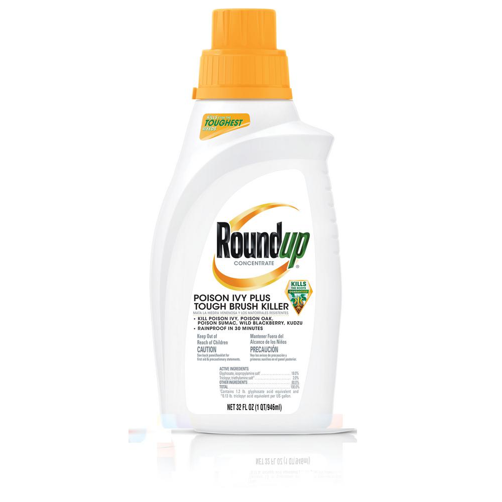 Roundup 32 Oz Concentrate Poison Ivy Plus Tough Brush