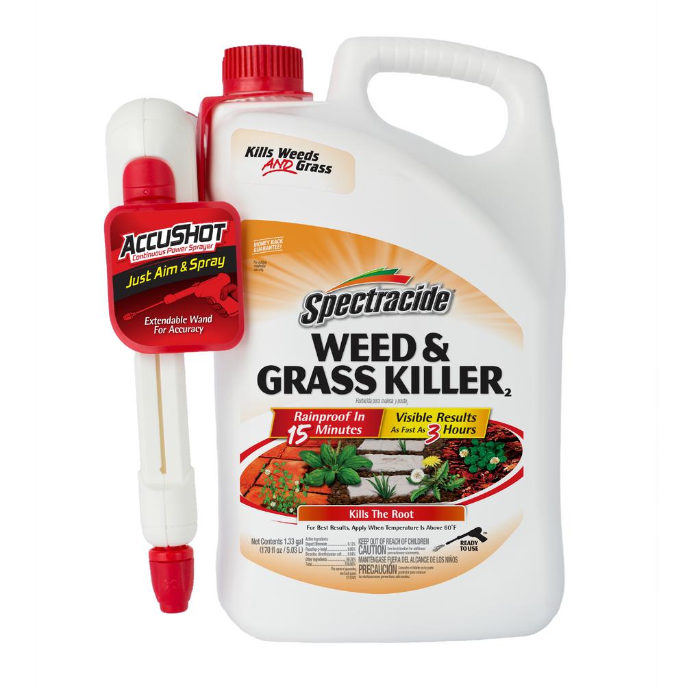 weed sprayer home depot