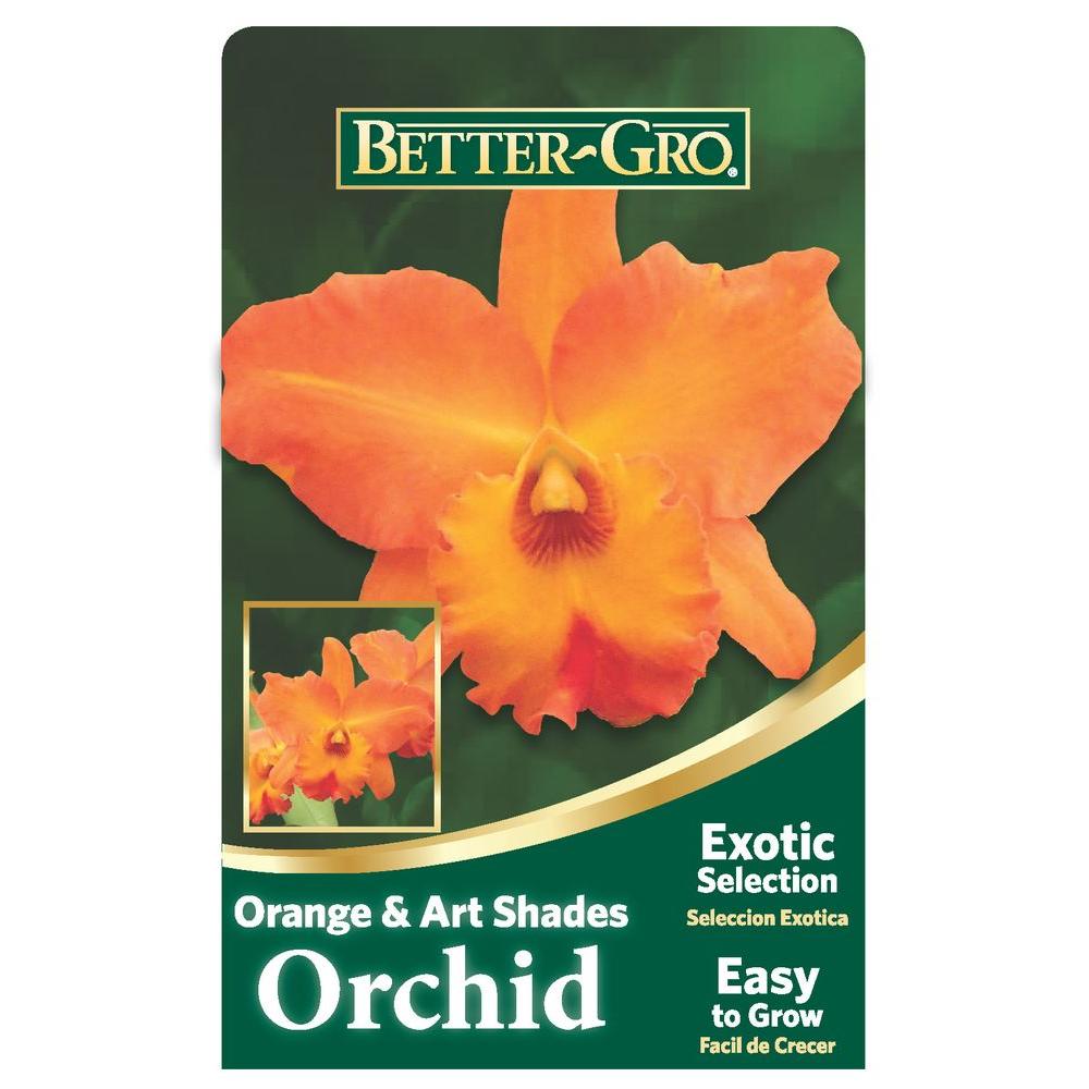 Better Gro 4 In Orange Cattleya Packaged Orchid 20323 The Home