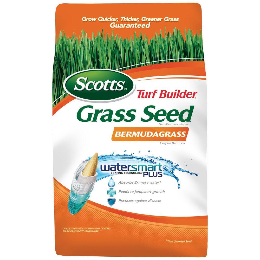 home depot grass seed