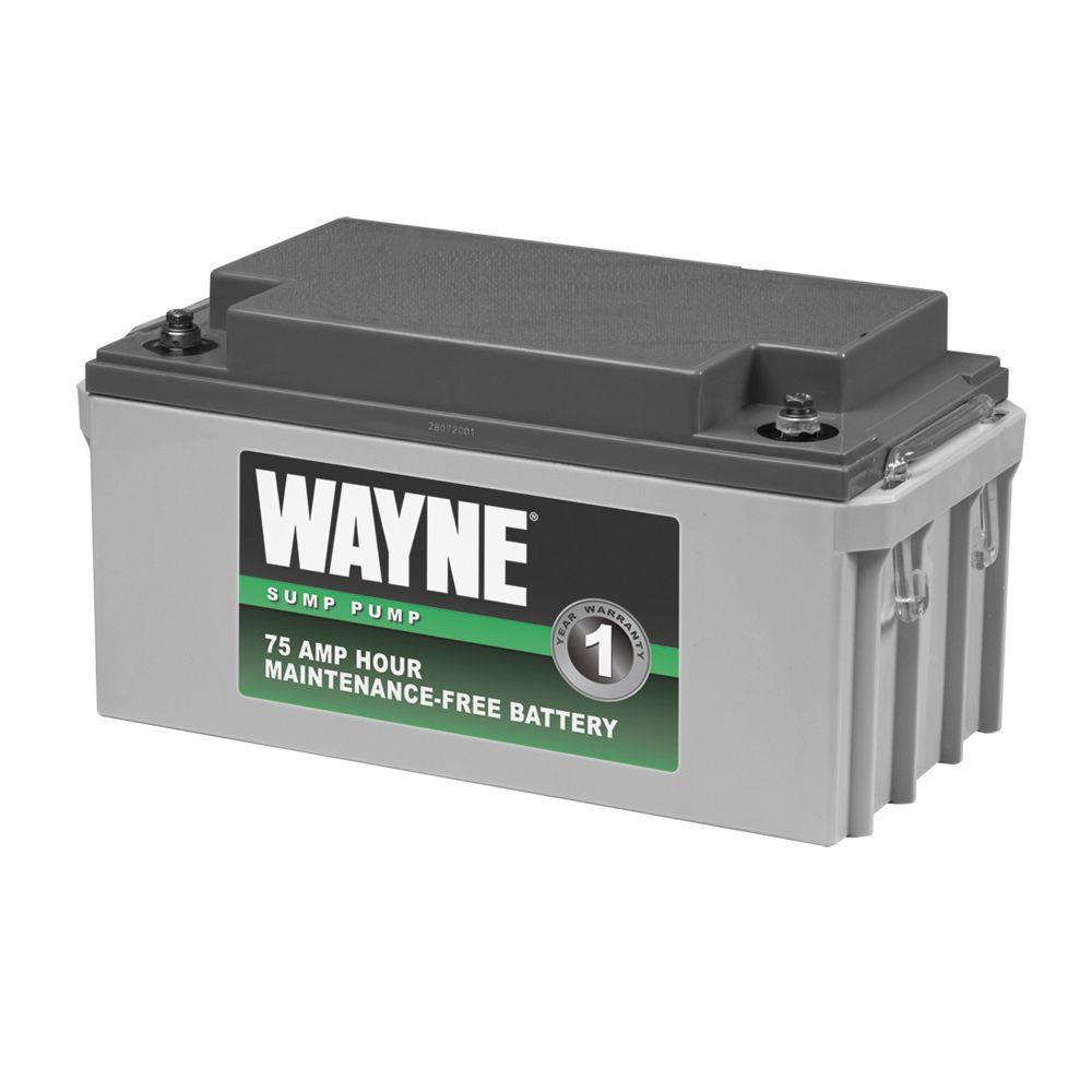 Basement Watchdog Big Standby Battery30HDC140S The Home Depot