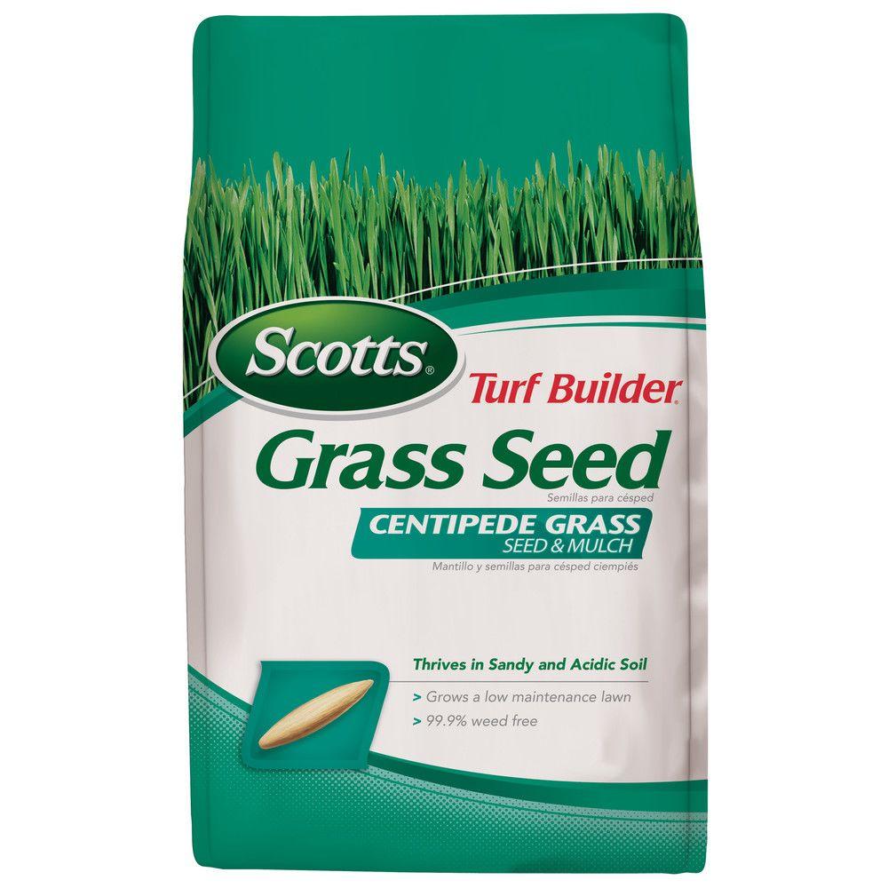 Pennington 5 lb. Centipede Grass Seed and Mulch-100081628 - The Home Depot