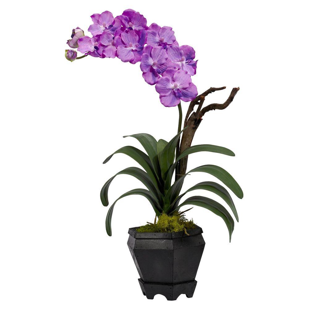24 in h purple