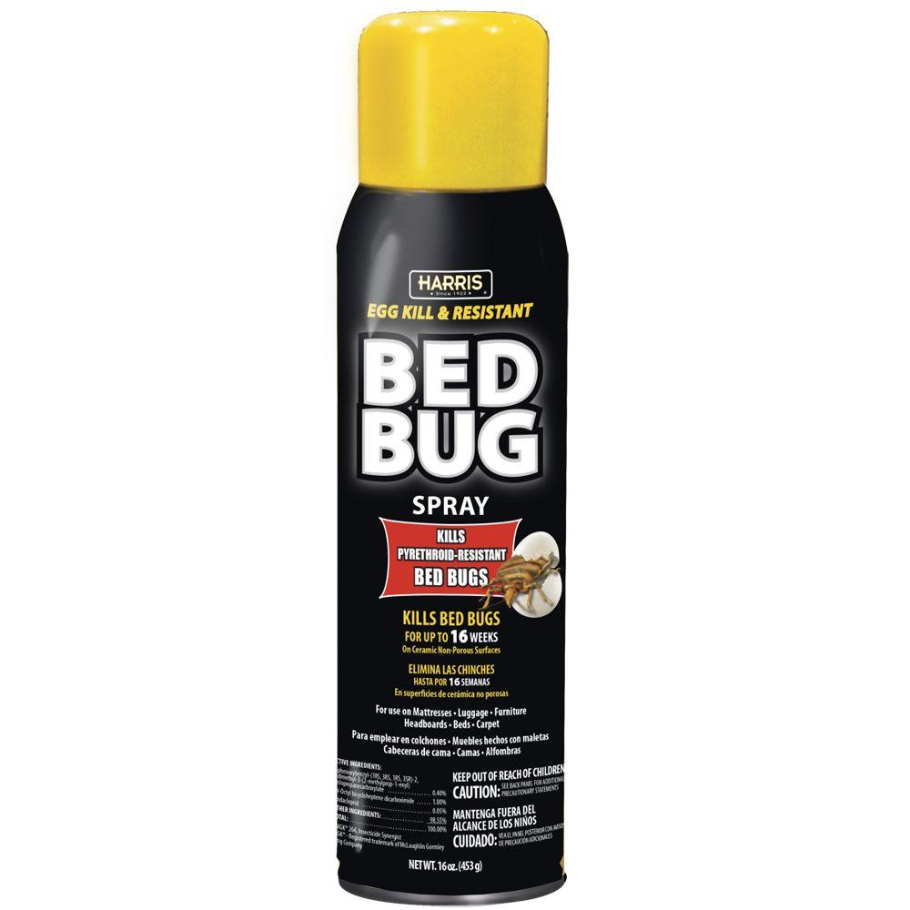 Bed Bug Spray Home Depot >> Harris Egg Kill and Resistant Bed Bug Spray-BLKBB-16A - The Home Depot Bed Bug Spray Home Depot >> Harris Egg Kill and Resistant Bed Bug Spray-BLKBB-16A - The Home Depot
