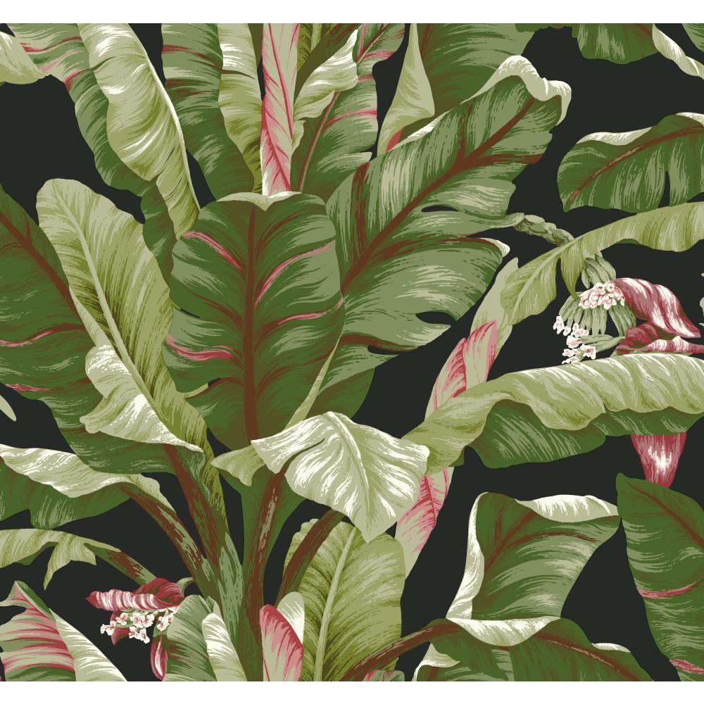 York Wallcoverings Tropics Banana Leaf Wallpaper AT7071 - The Home Depot