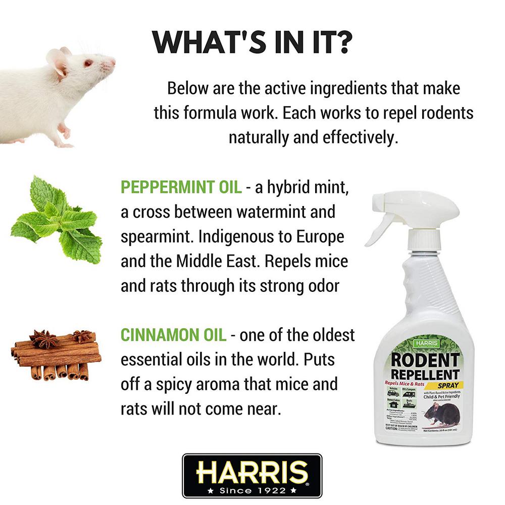 Harris 20 Oz Rodent Repellent Essential Oil Spray 4 Pack 4grr 20 The Home Depot,Call Center Work From Home Philippines