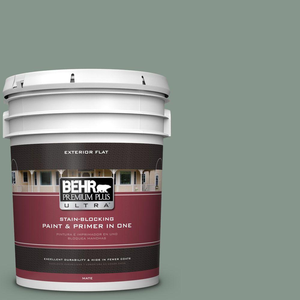 BEHR Premium Plus Ultra 5gal. N4204 Underground Gardens