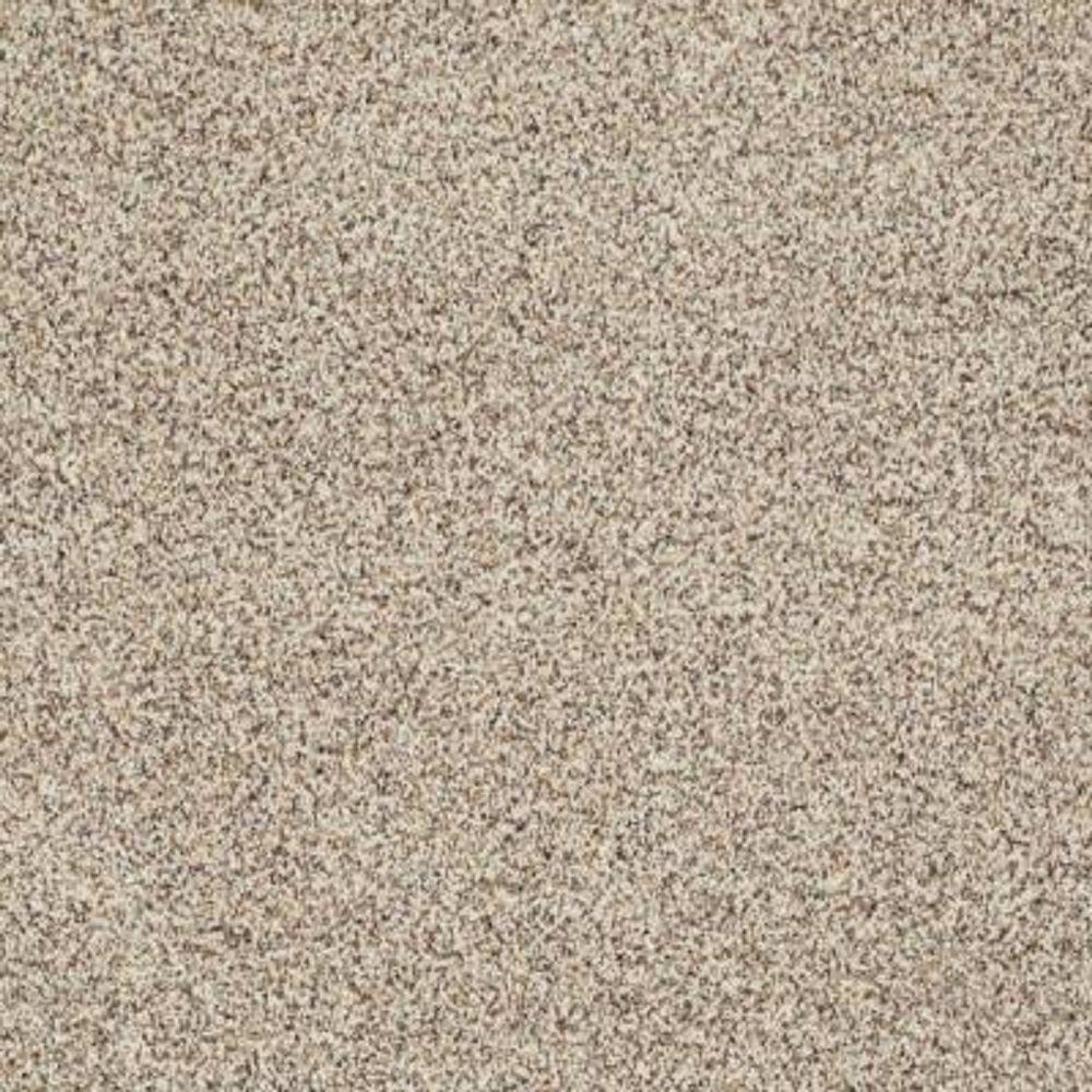 SoftSpring Carpet Sample Heavenly II Color Mohair Texture 8 in. x 8