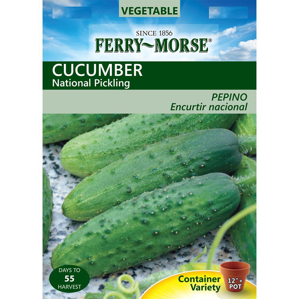 FerryMorse Cucumber National Pickling SeedX7283 The Home Depot