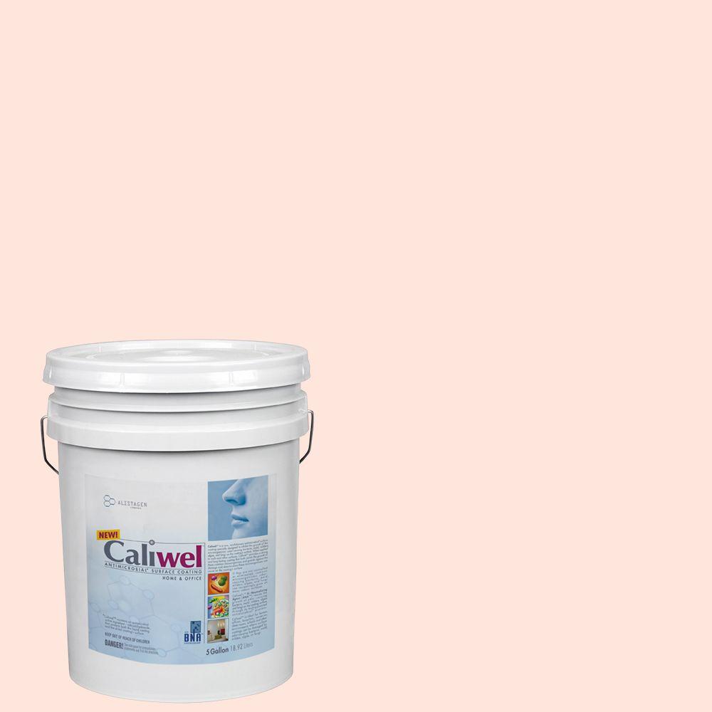 Caliwel Home & Office 5 gal. Clear Horizon Pink Latex Premium