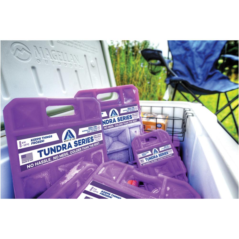 arctic ice tundra review