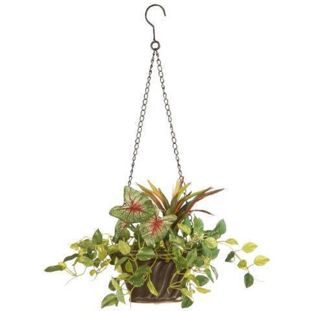 National Tree Company 10 In Orted Greens Hanging Basket Ras Orted Greens Hanging Basket