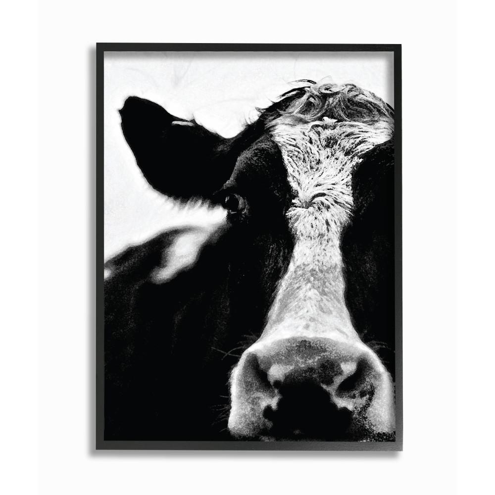 The Stupell Home Decor Collection 16 In X 20 In Cow Black And