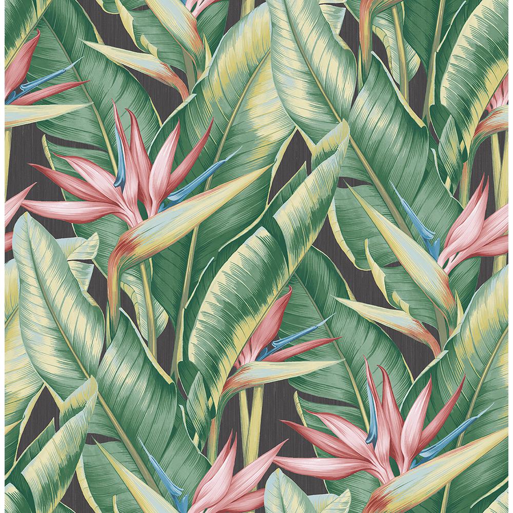 Kenneth James Arcadia Pink Banana Leaf Wallpaper-PS40201 - The Home Depot