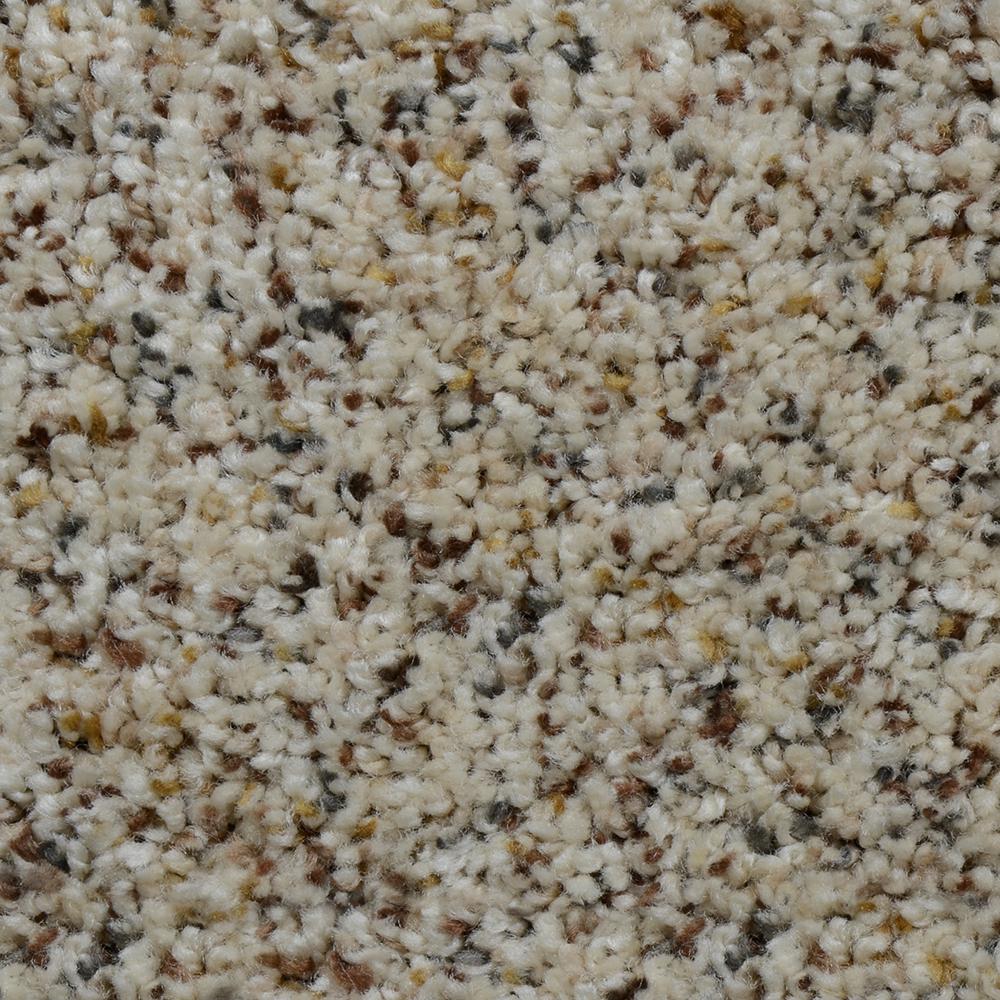 Home Decorators Collection Carpet Sample Beach Club I Color