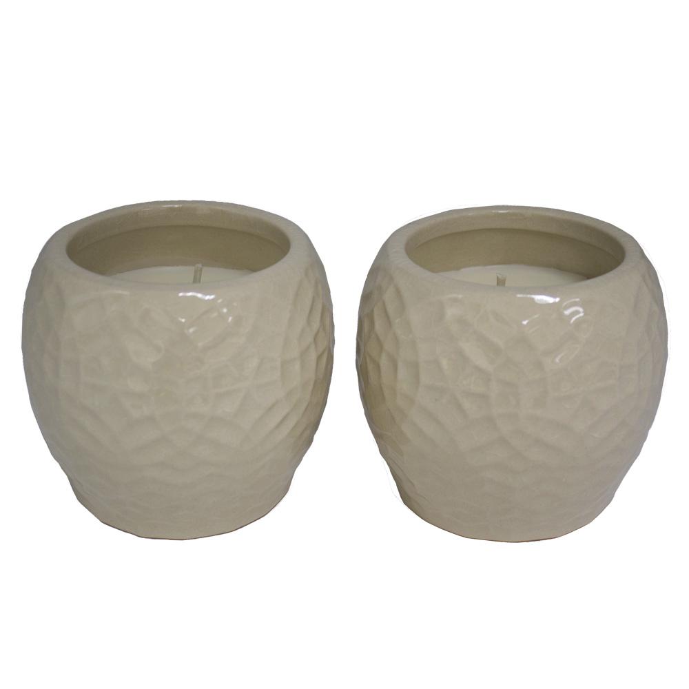 citronella candles torches insect depot