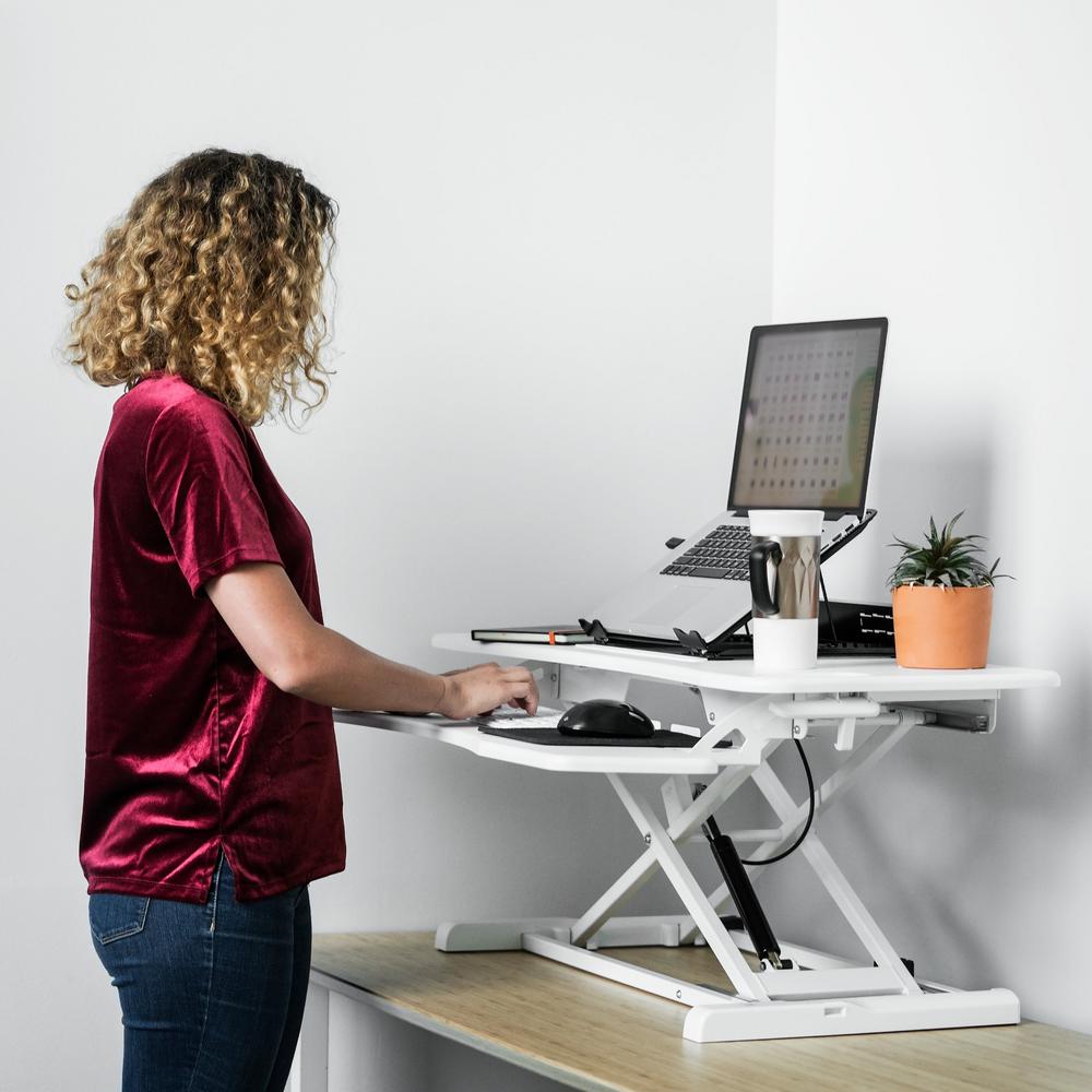 Techorbits Rise X Pro White 37 In Height Adjustable Standing Desk