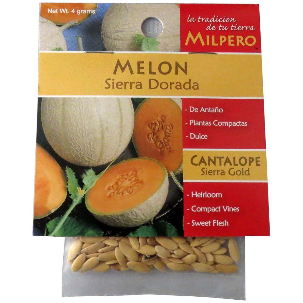 MILPERO Sierra Gold Melon Seed780246 The Home Depot