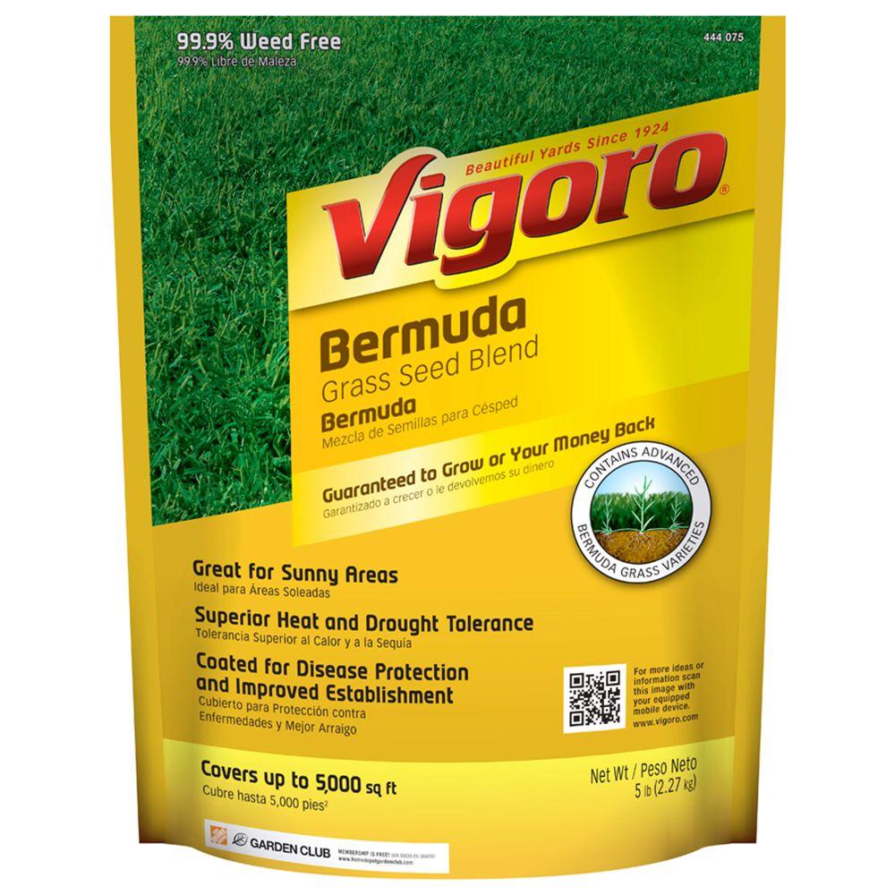 Vigoro 5 lb. Grass Bermuda Seed-52335 - The Home Depot Vigoro 5 lb. Grass Bermuda Seed-52335 - The Home Depot