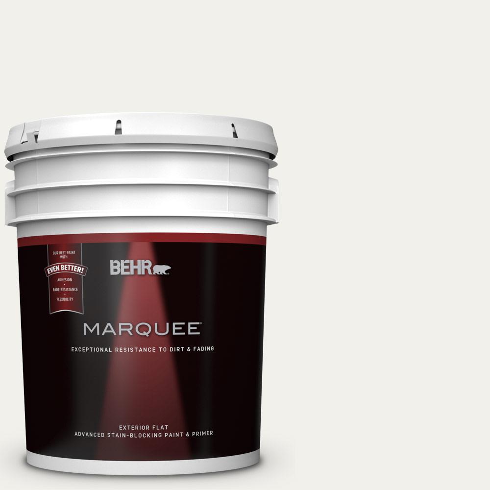 BEHR Premium Plus Home Decorators Collection 5gal. HDCMD06 Nano