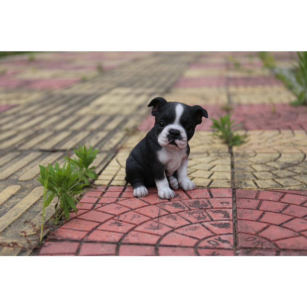 Hi-Line Gift Ltd Sitting Boston Terrier Puppy Statue