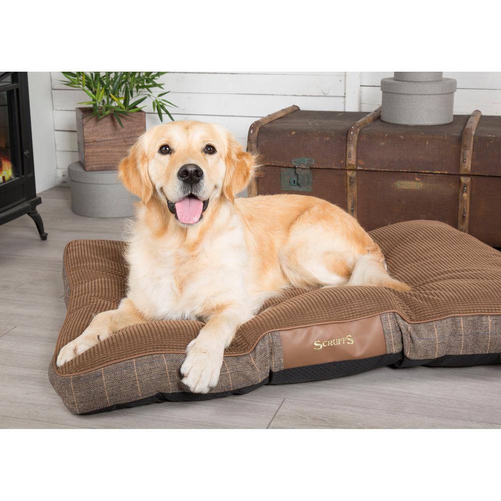 scruffs windsor dog bed