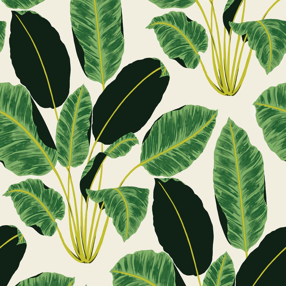 Tempaper Hojas Cubanas Rich Emerald Self Adhesive Removable Tempaper Hojas Cubanas Rich Emerald Self Adhesive Removable Wallpaper By Genevieve Gorder