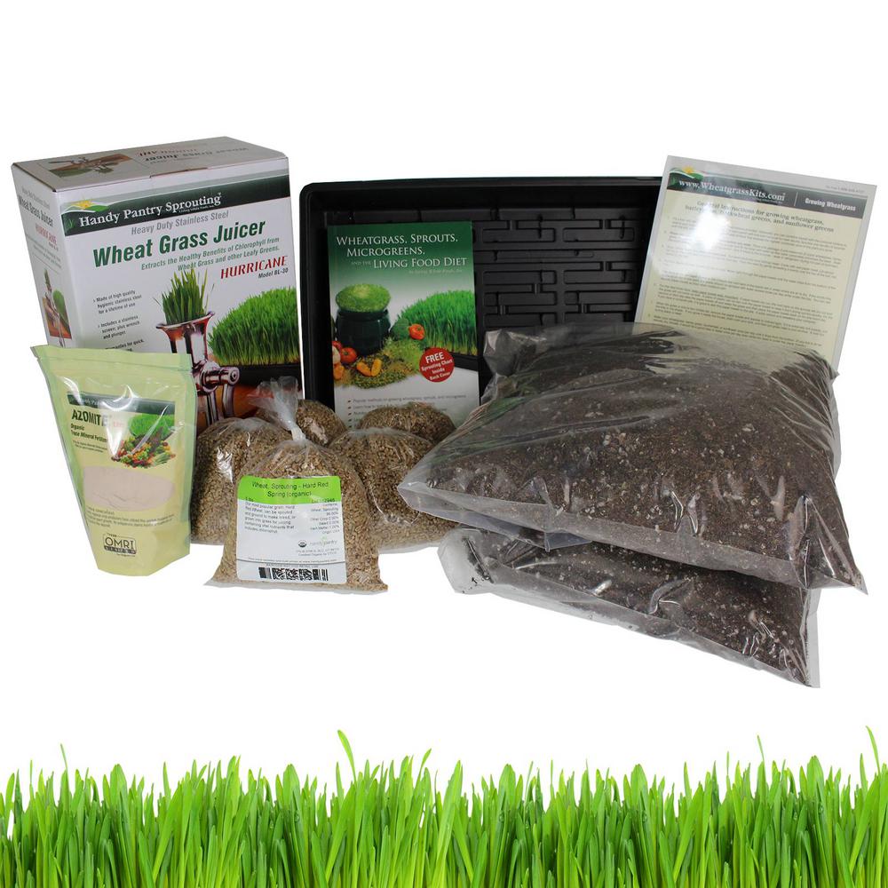 Living Whole Foods Everything to Grow and Juice Wheatgrass Organic Wheatgrass Growing Kit with Hurricane Stainless Steel Wheatgrass Juicer