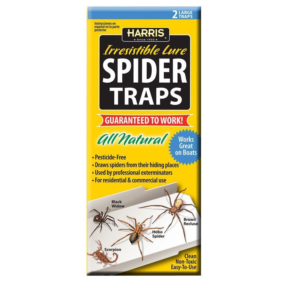 Harris Spider Traps with 25 Irresistible Lures (2-Pack) by Harris
