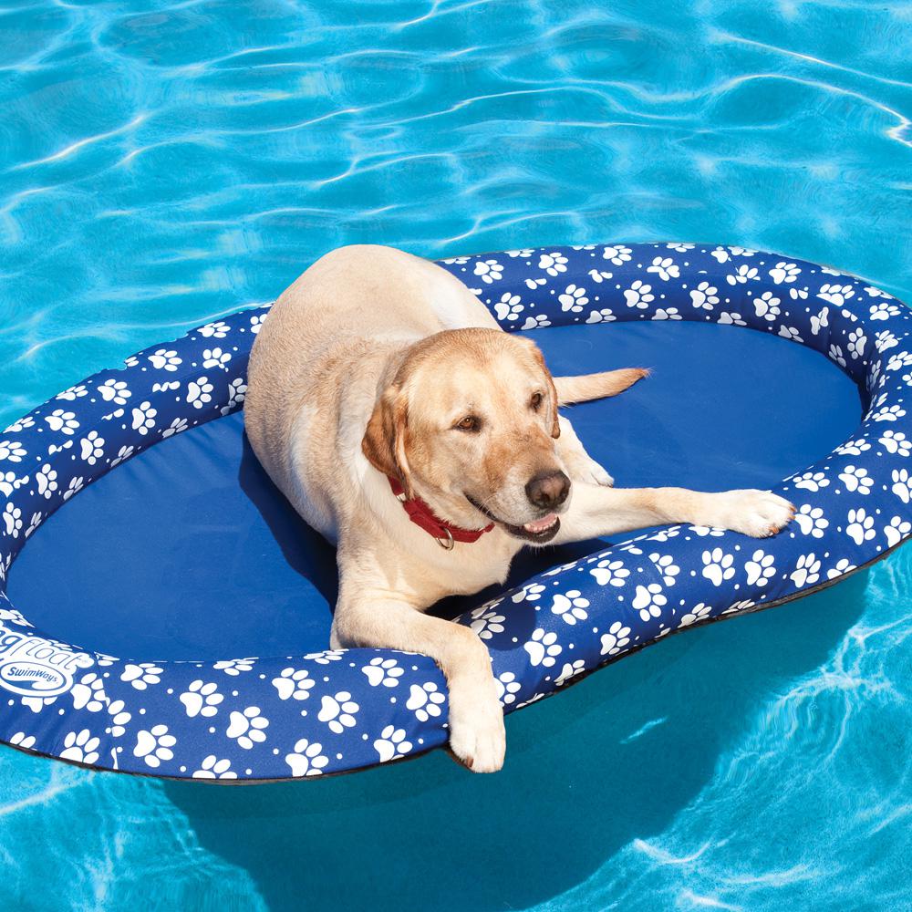 SwimWays Spring Float Paddle Paws Dog Pool Float - Large (65 lbs and Up)