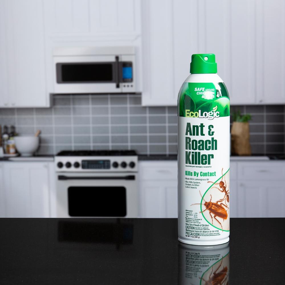 Ecologic 14 Oz Aerosol Ant And Roach Killer Hg 75000 The Home Depot