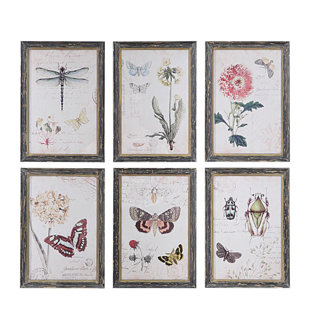 Home Decorators Collection 13 in. H x 9.5 in. W Herbarium Prints Framed