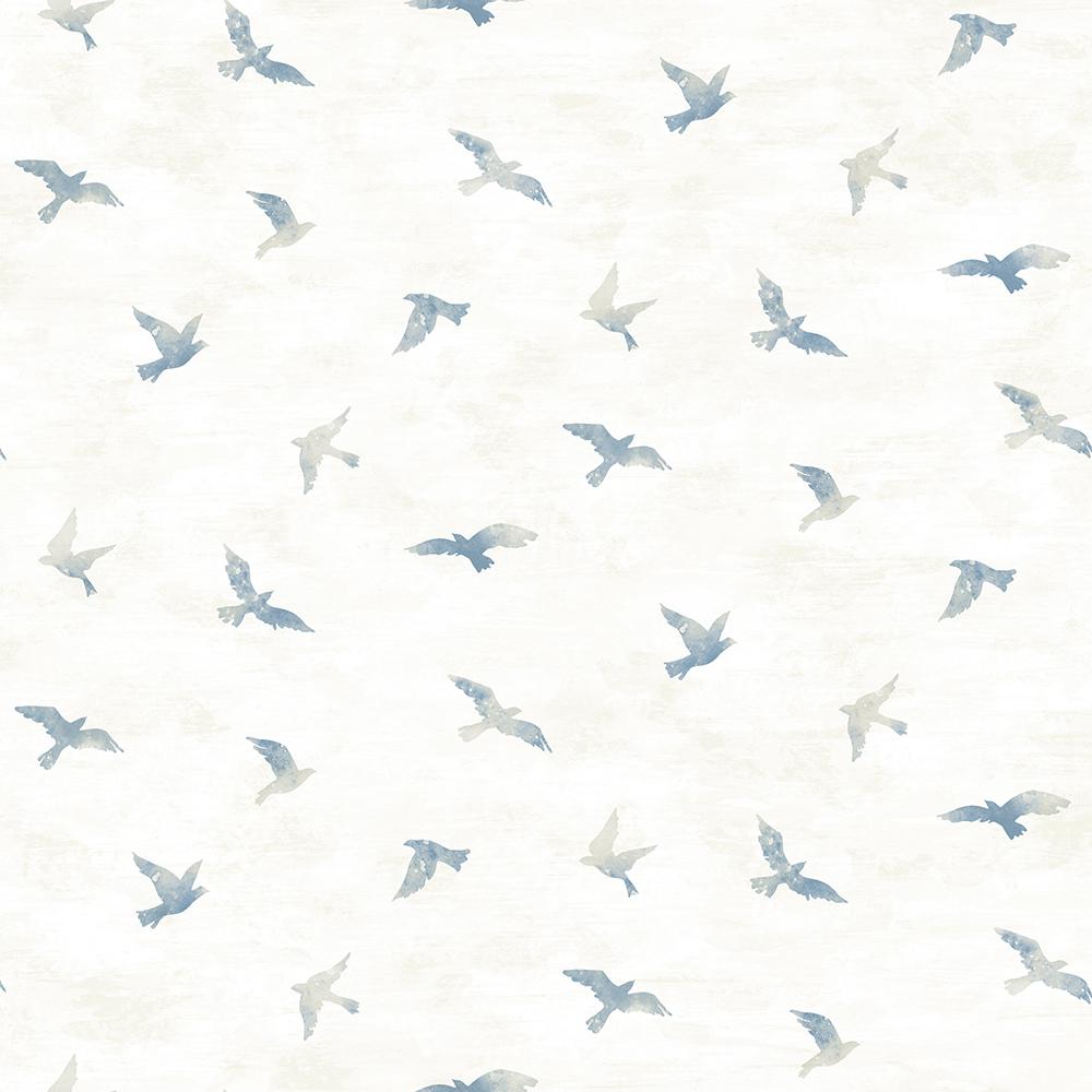 bird wallpaper