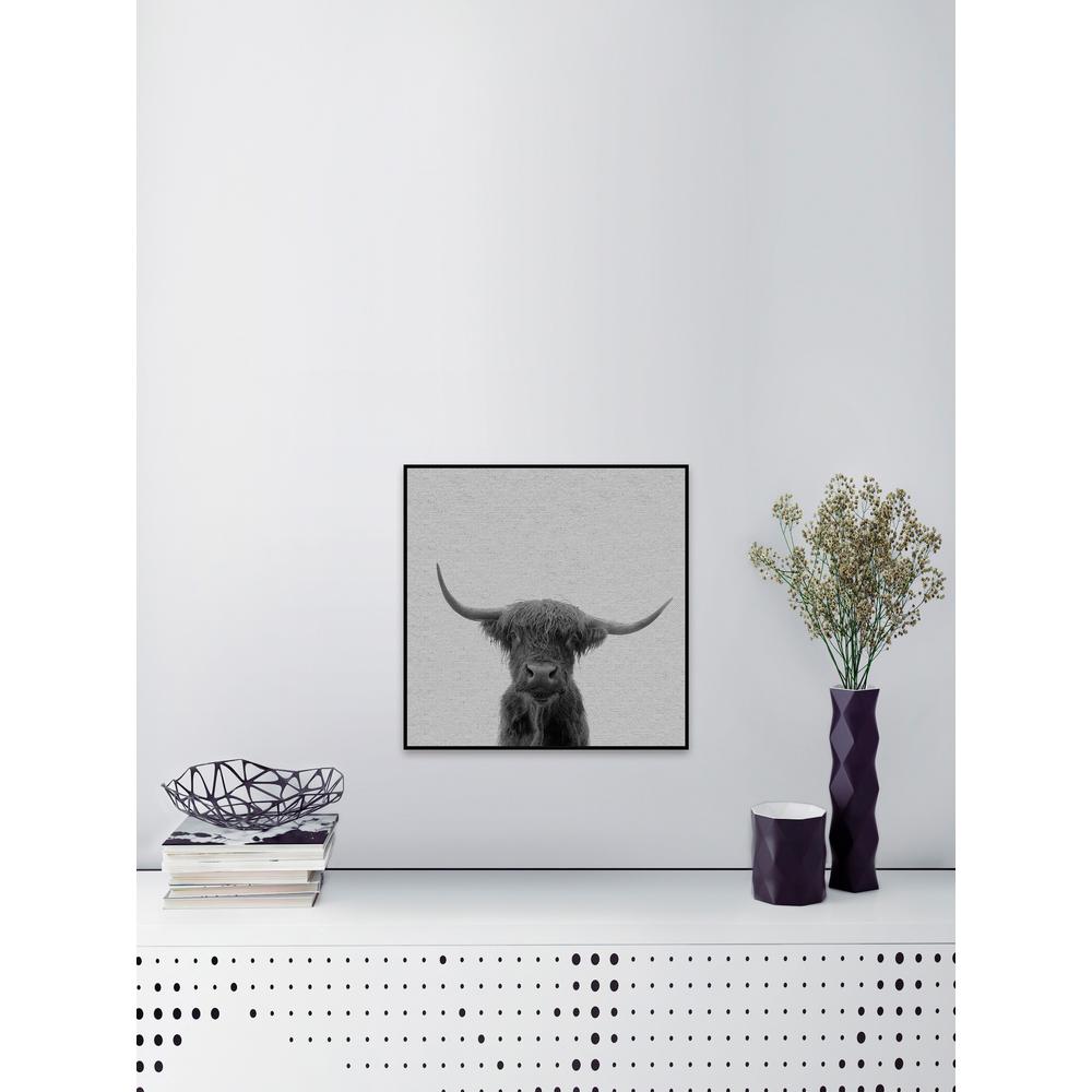 12 In H X 12 In W Black White Buffalo By Marmont Hill Framed