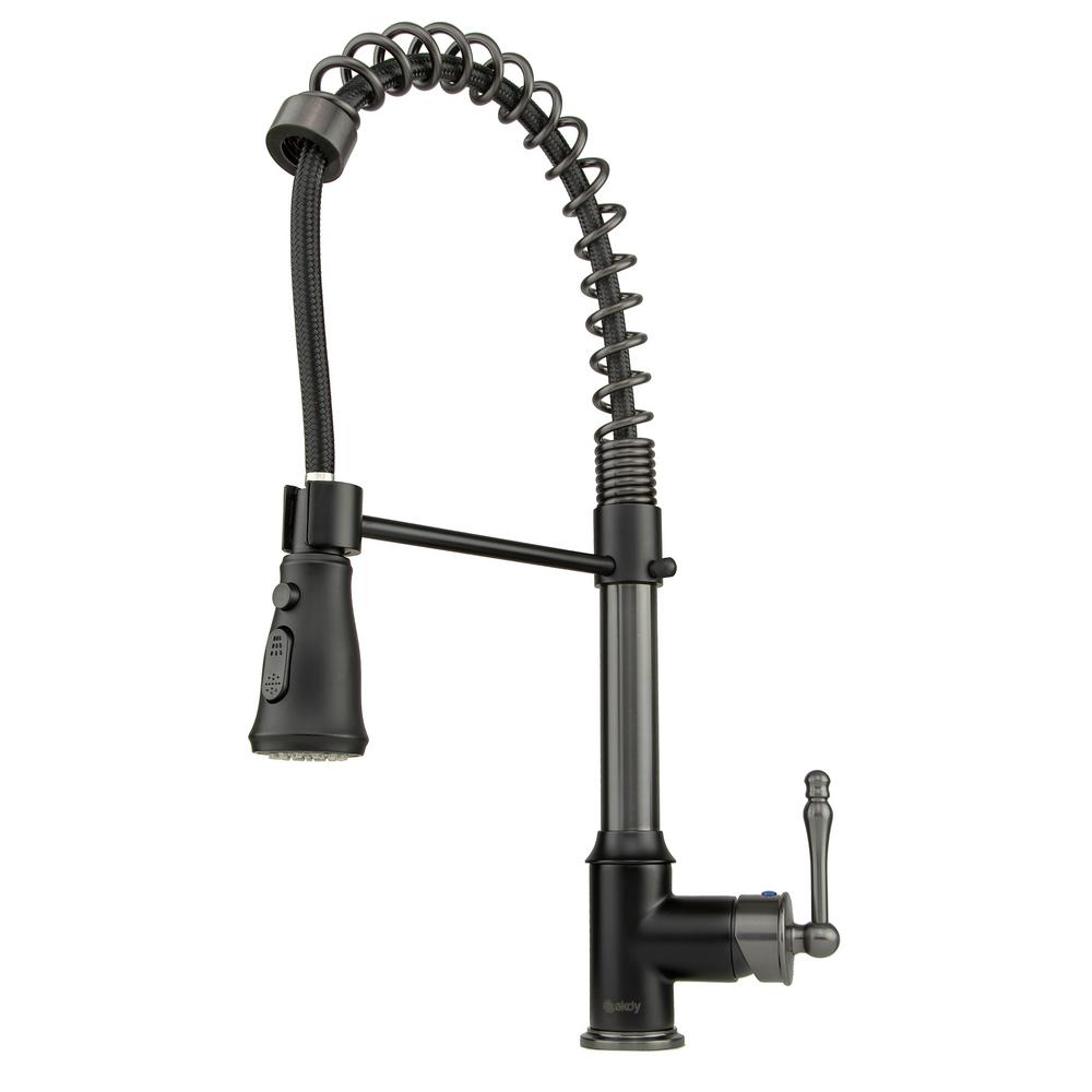 Spring Neck Single-Handle Pull-Down Sprayer Kitchen Faucet