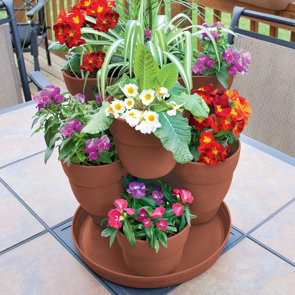 Terracotta Strawberry Pots Home Depot gardenpicdesign