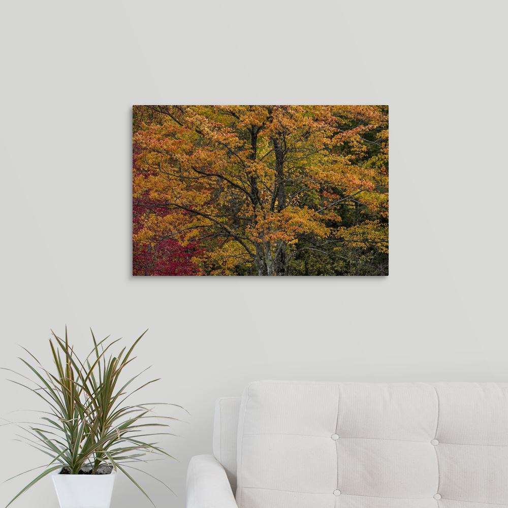 Greatbigcanvas Fall Color On The Coast Of Maine By Scott Stulberg Canvas Wall Art 2271459 24 30x20 The Home Depot